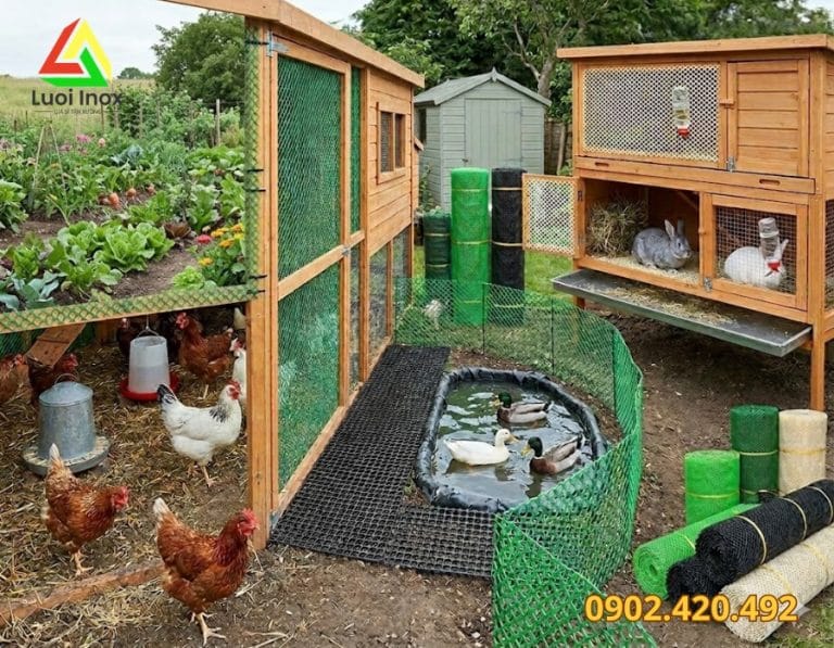 Chuồng gà quây bằng lưới mắt cáo, chọn loại và kích thước mắt lưới theo tuổi gà