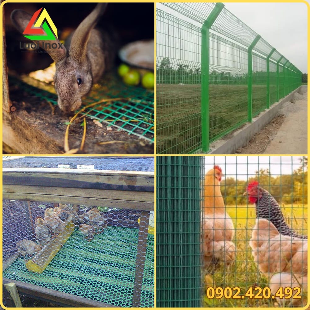 Hàng rào lưới thép bọc nhựa lắp thực tế quây sân vườn và khu nông nghiệp